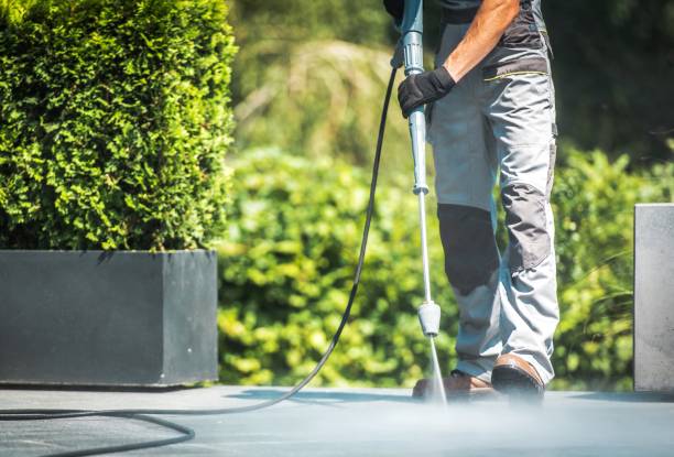 Best Sidewalk and Walkway Cleaning  in West Blocton, AL