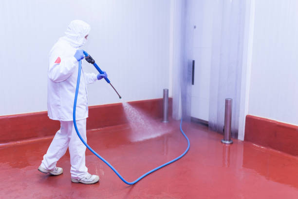 Best Boat and Dock Cleaning  in West Blocton, AL